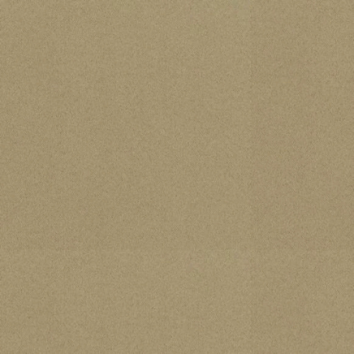 79