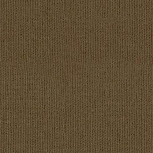 79